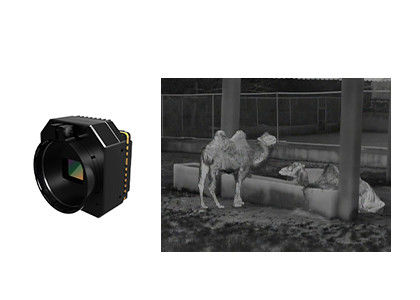 Camera bảo mật nhiệt độ nhạy cao Mô-đun hồng ngoại không làm mát