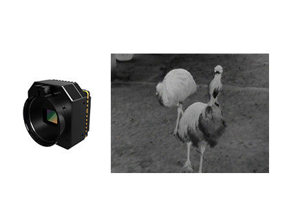 Mô-đun camera bảo mật nhiệt hồng ngoại không làm mát với nhiều ống kính