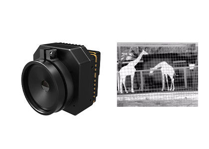 Mô-đun camera bảo mật nhiệt hồng ngoại không làm mát với nhiều ống kính