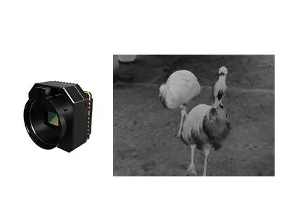 Mô-đun camera giám sát an ninh nhiệt hồng ngoại không làm mát với ống kính tùy chọn